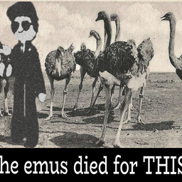 The emus died for THIS? - Polytoria
