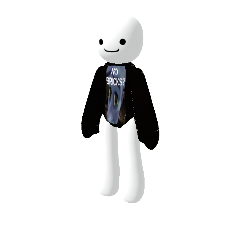 NO BRICKS? - Polytoria